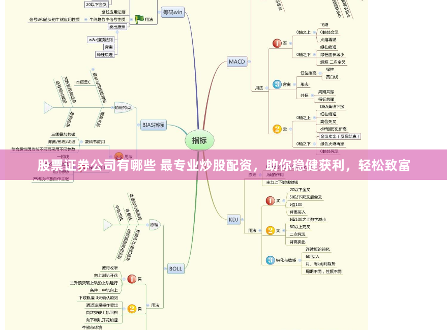 股票证券公司有哪些 最专业炒股配资，助你稳健获利，轻松致富