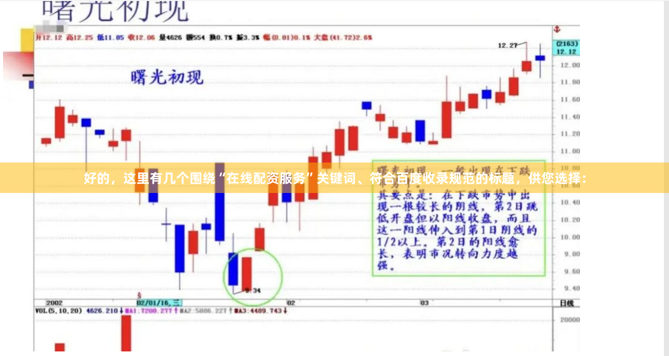 好的，这里有几个围绕“在线配资服务”关键词、符合百度收录规范的标题，供您选择：